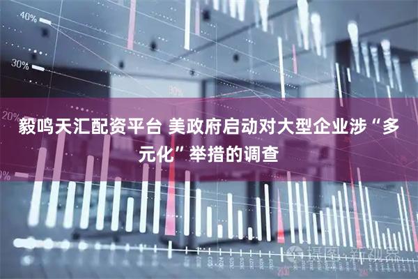 毅鸣天汇配资平台 美政府启动对大型企业涉“多元化”举措的调查