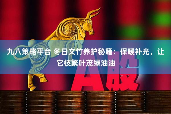 九八策略平台 冬日文竹养护秘籍：保暖补光，让它枝繁叶茂绿油油