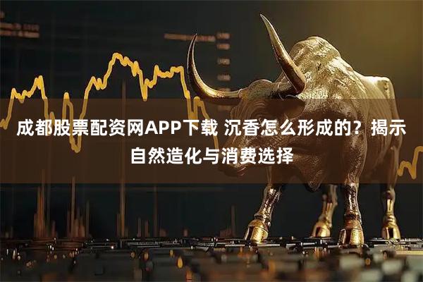 成都股票配资网APP下载 沉香怎么形成的?揭示自然造化与消费选择